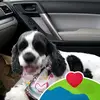 Deb Martel - @debmartel2 - TikTok