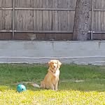 Debra Martell - @debra.martell.9 - Instagram
