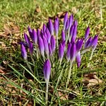 Debra Martello - @debra.martello - Instagram