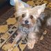 Debbie Jones Martindale - Facebook