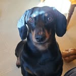 Debra Martindale Parham - @debrap2001 - Instagram