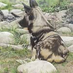 Debra J Marvin - @debmarvinart - Instagram