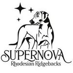 Deborah Mattern Higgins - @supernovaridgebacks - Instagram