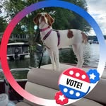 Debra Taube-Mattern - @debtmattern - Instagram