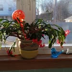 Debra Hebert Maurer - @hebertmaurer - Instagram