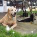 Debra Maus - Facebook