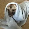 Kordula Kommrasch - @debra_mausi - TikTok