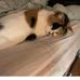 Debbie Maxfield - Facebook