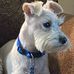Debbie Maxwell - Facebook