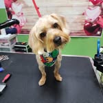 Debra J Maynard - @debrajmaynard - Instagram
