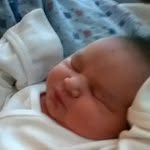 Deborah McAfee - @sleepingtiger08 - Instagram