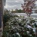 Debra McBee - Facebook