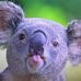 Debra McBrayer - Facebook
