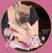 Debra A McBride - Facebook