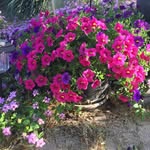 Debra McBride - @deb_mc_57 - Instagram