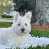 debramcbride271 - @debramcbride271 - TikTok