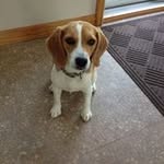 Debra Papp-mccafferty - @peeps49 - Instagram