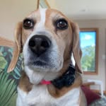 Debra Papp-mccafferty - @pappmccafferty - Instagram