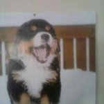 Debra McCallum - @mccallumdebra - Instagram
