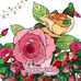 Debra McCallum - Facebook