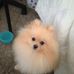 Deb McCandless - Facebook