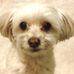 Debra McCann - Facebook