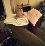 Debra McCaslin - Facebook