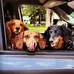 Debra McClain - @debra_mcclain - Instagram
