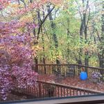 Debra McClain - @debra.mcclain.98 - Instagram