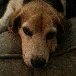 Debra McClain-Loponen - @debbie_mcl - Instagram