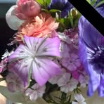 Debra McCoy - Facebook