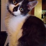 Debra McCoy - @debramccoy11 - Instagram