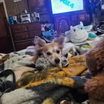 Debra Mccoy - Facebook