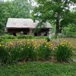 Debra McCoy - @dlan659659 - Instagram