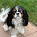 Debra McCoy - @mccoy_debra - Instagram