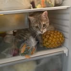 Debra McDermott - Facebook