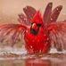 Deborah McEachern - Facebook