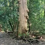 Debra mcFarlane - @mcfarlane7146 - Instagram
