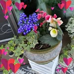 Debra McFarlane - @ldmcfarlane - Instagram