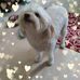Deborah McGlone - Facebook