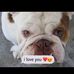 Deborah McGlothlin - Facebook