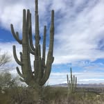 Deborah McGlothlin - @debbiemcg2 - Instagram
