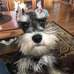 Deborah Skocic McGlothlin - @damcglothlin - Instagram