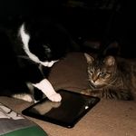 Debra McGraw - @sadiesgrace - Instagram