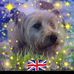 Deborah McGregor - Facebook