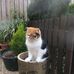 Debbie McHale - Facebook