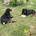 Debra McHale - Facebook