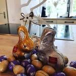 Debra Mchenry - @salzykuhl31 - Instagram