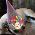 Debra McHugh - @mchughdebra - Instagram
