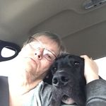 Debra McKenzie - @debramckenzie9081 - Instagram